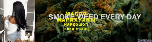 дмт Богданович
