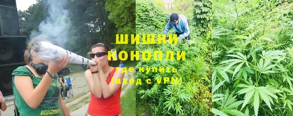 дмт Богданович