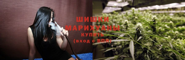 дмт Богданович