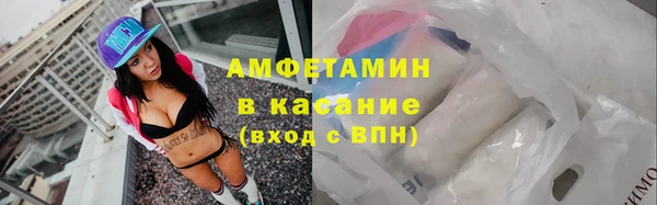 дмт Богданович