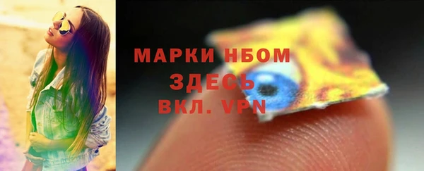 дмт Богданович
