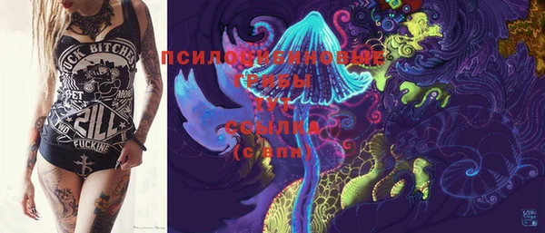 дмт Богданович