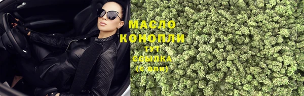 дмт Богданович