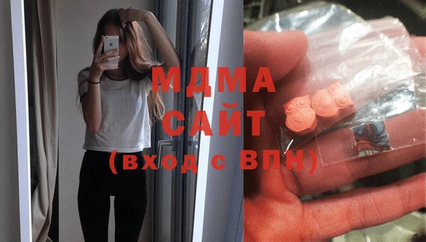 дмт Богданович