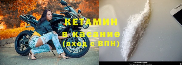 дмт Богданович