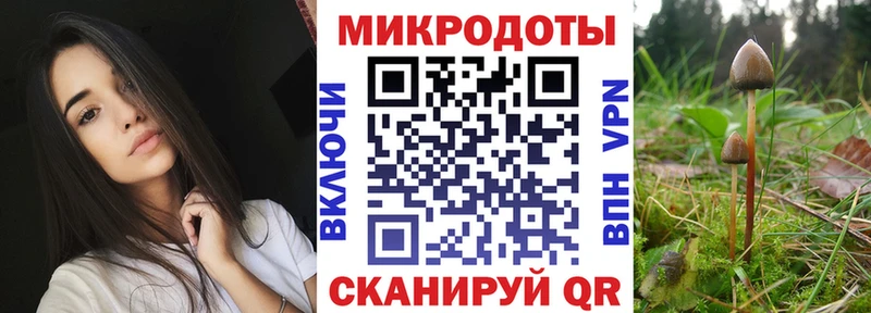 Псилоцибиновые грибы GOLDEN TEACHER где продают Мичуринск